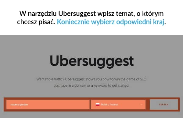 o czym można pisać bloga